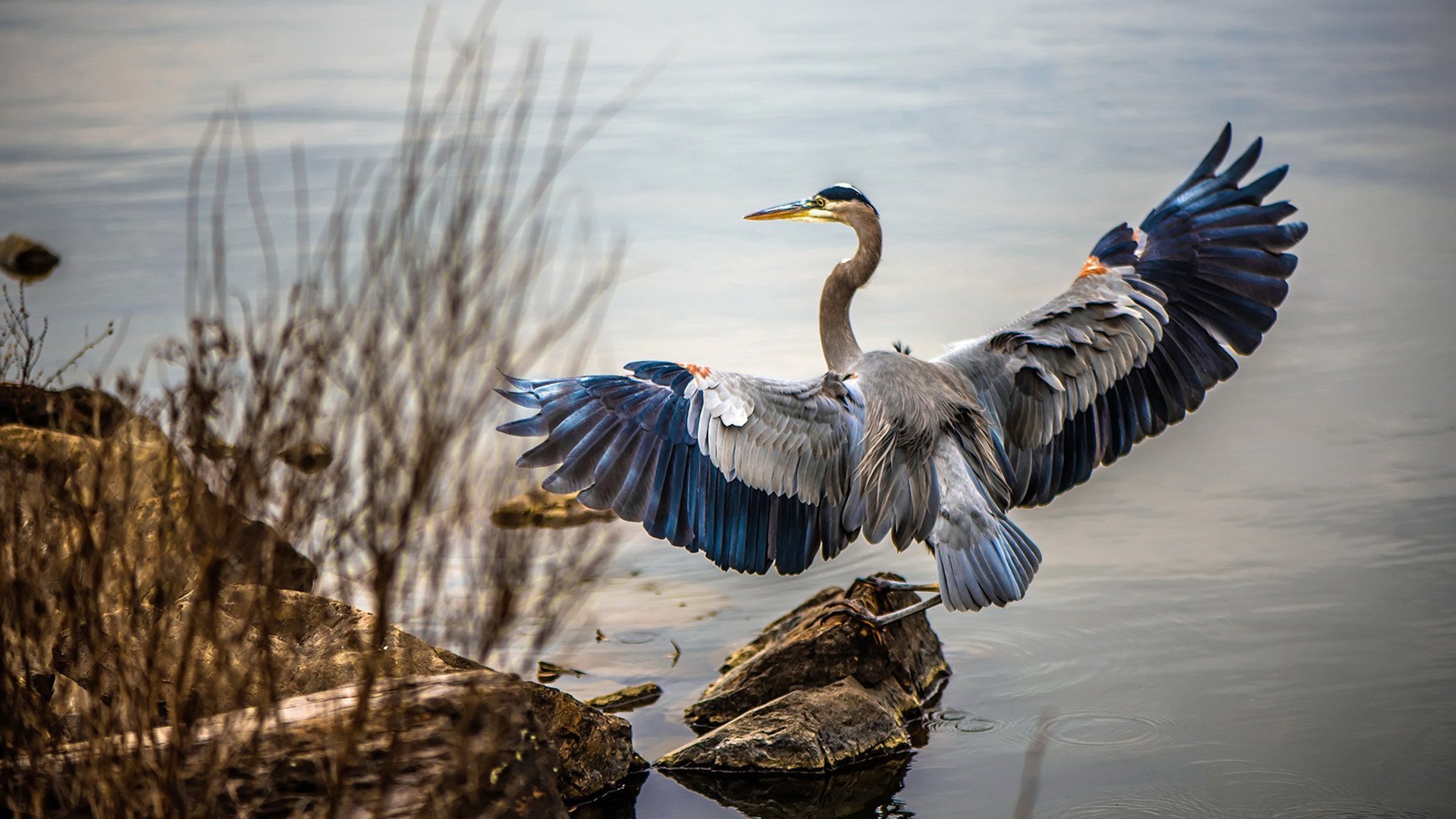 九游（jiuyou.com）游戏-《王者荣耀年度王者，谁能问鼎巅峰？》，王者荣耀哪一年问世