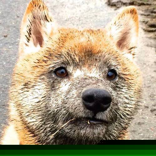 全国青少年足球夏令营，培养未来足球之星，2020全国青少年足球夏令营怎么参加