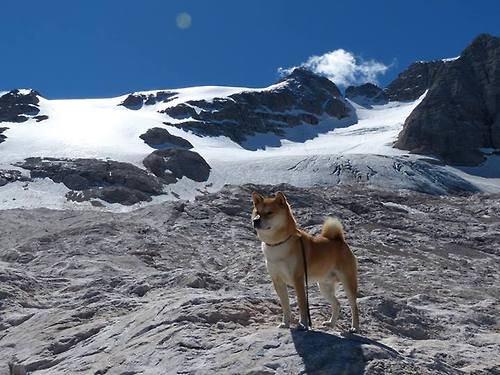 冠军背后：教练和球员的默契合作揭秘，冠军的教练有奖金吗
